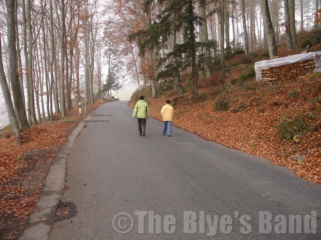 Hotel du Parc Novembre 2007