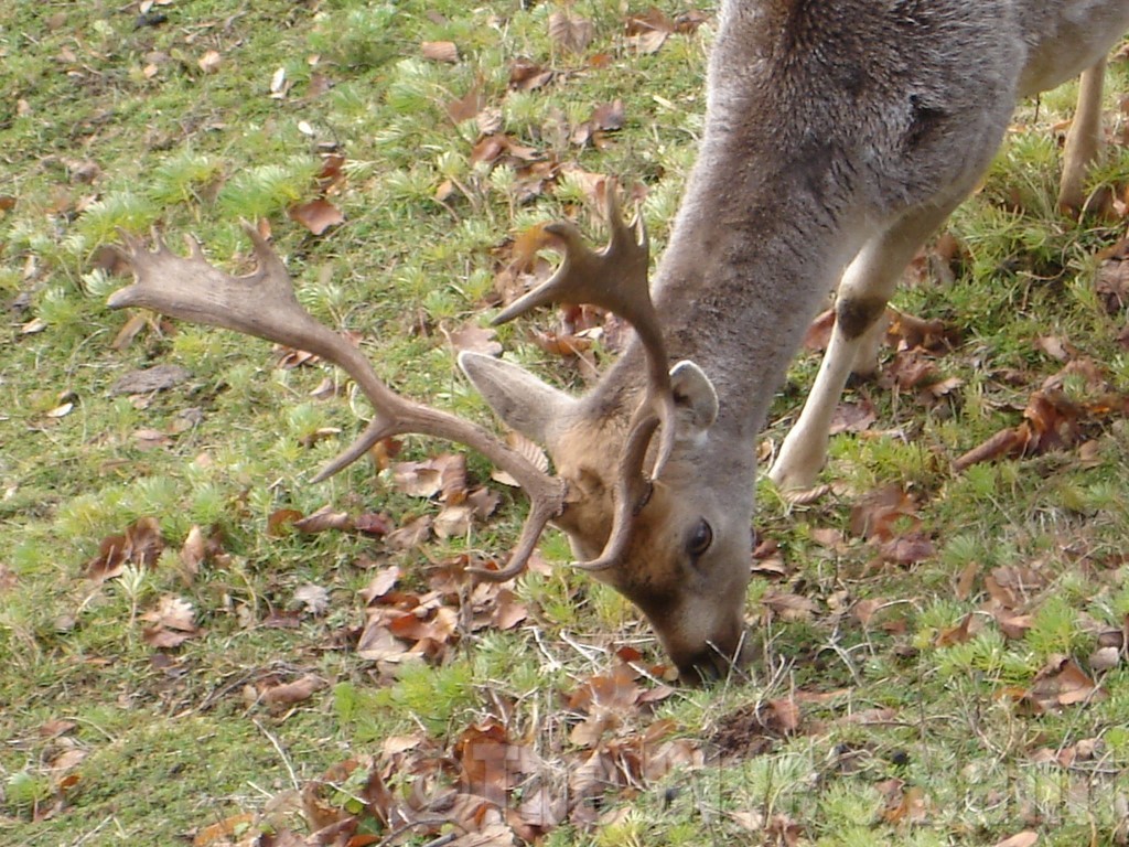 Hotel du Parc Novembre 2007